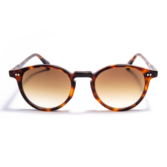 VEGA 01 sunglasses in Tortoise / Amber Gradient, image 1 of 8