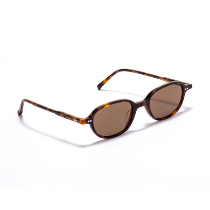 ALNAIR 02 sunglasses in Tortoise / Brown Smoke, image 2 of 8