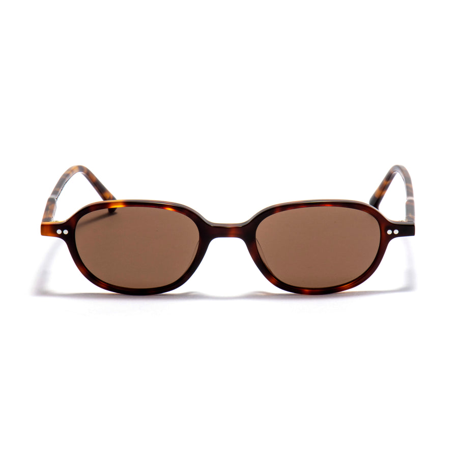 ALNAIR 02 sunglasses in Tortoise / Brown Smoke, image 1 of 8