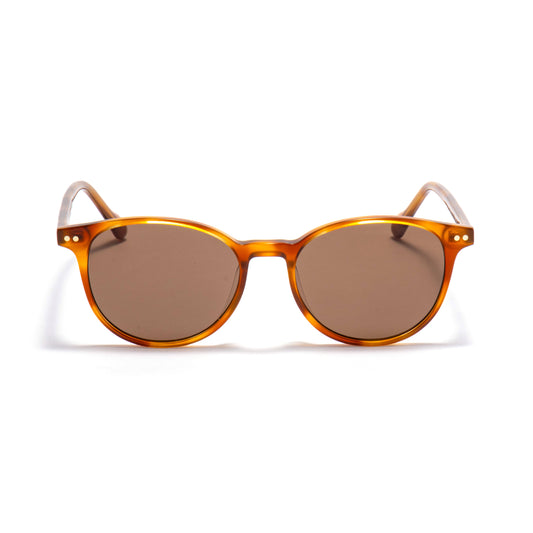 ALQAID 01 sunglasses in Amber / Brown Smoke, image 1 of 8