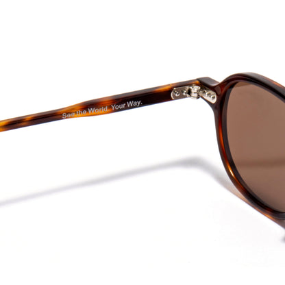 ALNAIR 02 sunglasses in Tortoise / Brown Smoke, image 6 of 8
