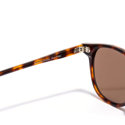 ALNILAM 01 sunglasses in Tortoise / Brown Smoke, image 6 of 8