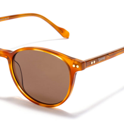 ALQAID 01 sunglasses in Amber / Brown Smoke, image 5 of 8